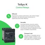 TeSys CA2K - contacteur - 2F+2O - instantané - 10A - 48Vca – Image 2