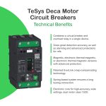 TeSys GV - disjoncteur magnéto-thermique - In 115A - 25kA - Everlink – Image 2