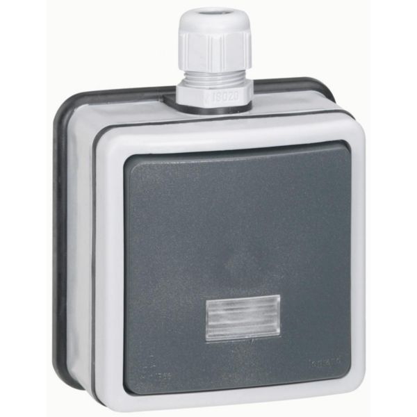 th_090460-LEGRAND-1000.jpg Interrupteur ou va-et-vient étanche à voyant Plexo IP66 complet 10A 250V~ - gris – Image 1