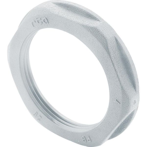 th_386872-LEGRAND-1000.jpg Ecrou plastique PG9 pour presse étoupe plastique hexagonal à embase - gris RAL7035 – Image 1