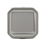 Poussoir NO lumineux avec voyant étanche Plexo 10A IP55 IK08 livré complet pour fixation saillie - gris – Image 2