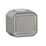 Poussoir NO lumineux avec voyant étanche Plexo 10A IP55 IK08 livré complet pour fixation saillie - gris